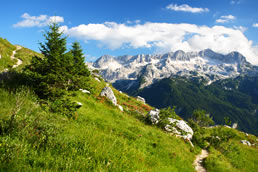 Sommerurlaub in Flachau, Salzburger Land